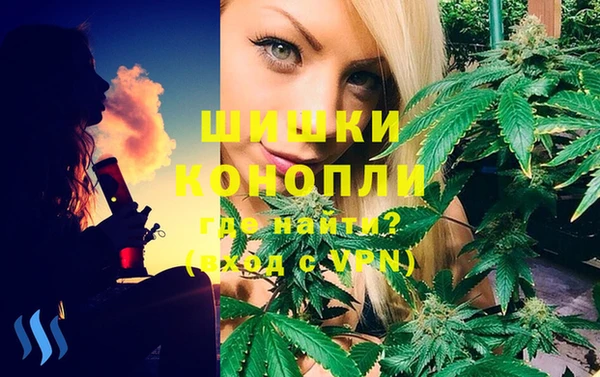 спайс Нягань