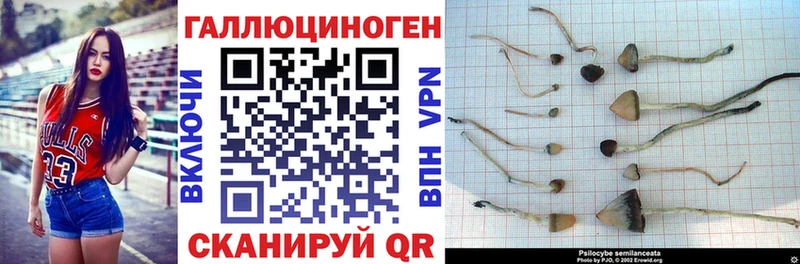 Галлюциногенные грибы мухоморы  Волчанск 