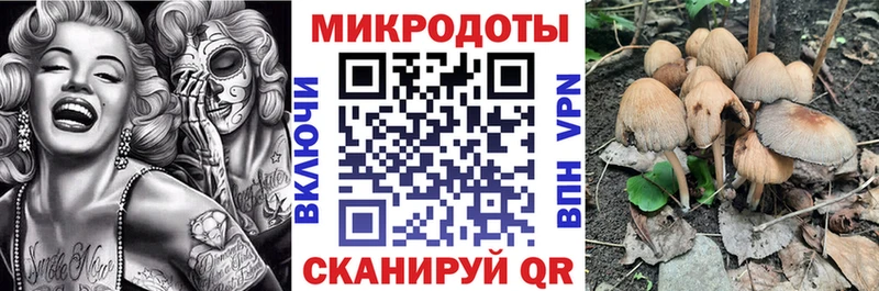 Галлюциногенные грибы мицелий Волчанск